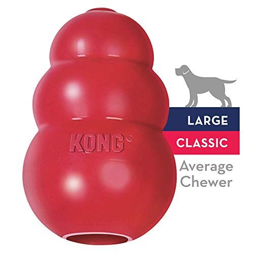 KONG Classic Dog Toy for Large Dogs - Image 11