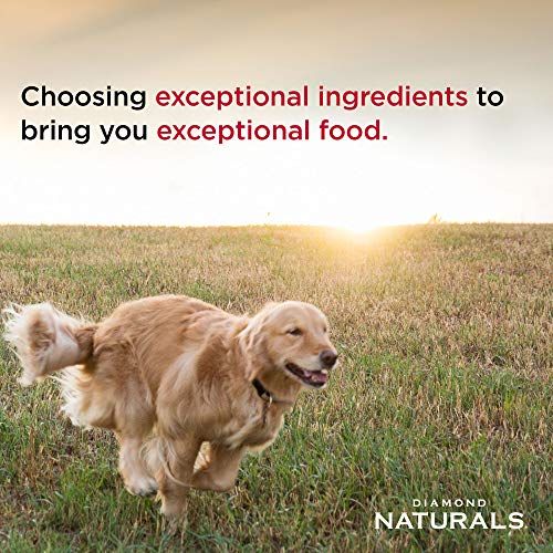 Diamond Naturals Large Breed Puppy Food - Image 5