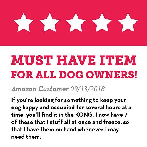 KONG Classic Dog Toy for Large Dogs - Image 10