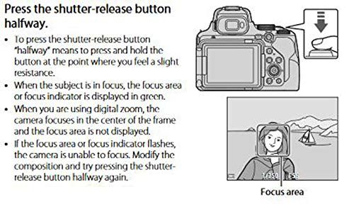 Nikon COOLPIX P1000 - Image 9
