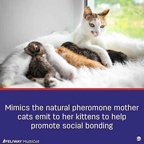 Feliway MultiCat Diffuser Refill - Image 6