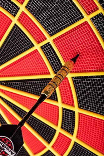 Arachnid Cricket Pro Dartboard - Image 5