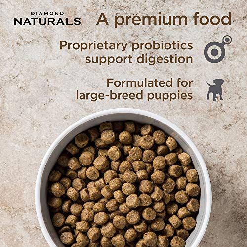 Diamond Naturals Large Breed Puppy Food - Image 7