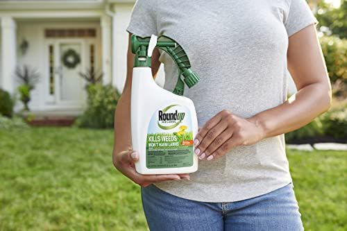 Roundup For Lawns Ready-To-Spray - Image 4