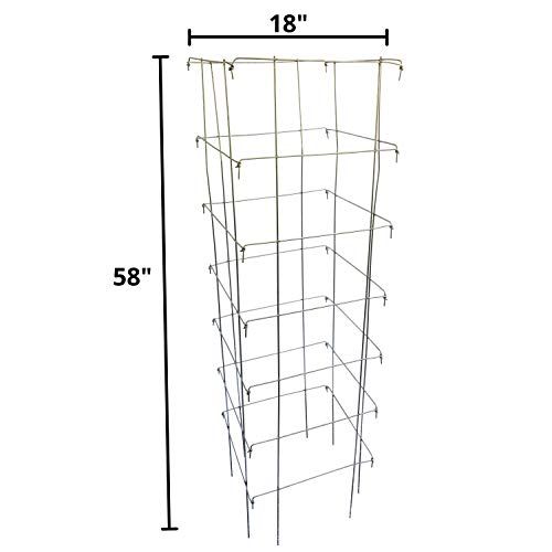 Happy Trees Tomato Cages (3-Pack) - Image 4