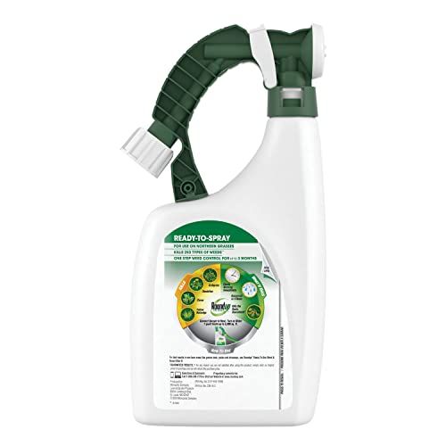 Roundup For Lawns Ready-To-Spray - Image 2