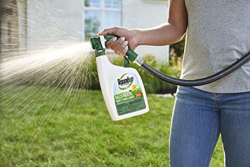 Roundup For Lawns Ready-To-Spray - Image 6