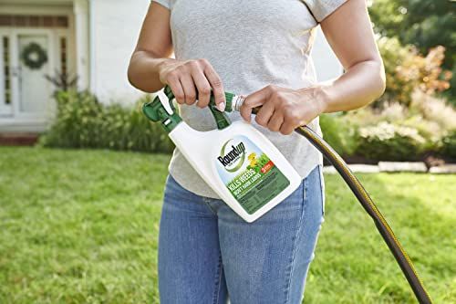Roundup For Lawns Ready-To-Spray - Image 5