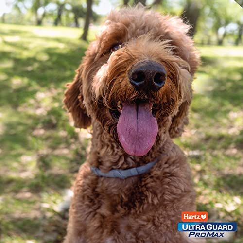 Hartz UltraGuard ProMax Flea & Tick Collar for Dogs - Image 8
