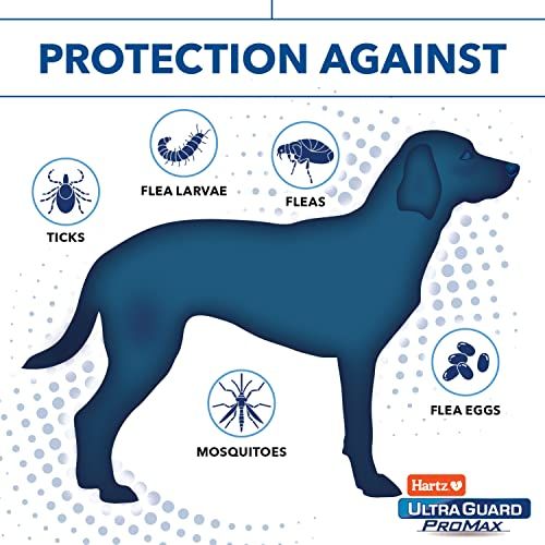 Hartz UltraGuard ProMax Flea & Tick Collar for Dogs - Image 5