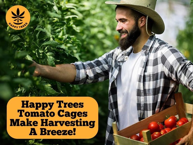 Happy Trees Tomato Cages (3-Pack) - Image 7