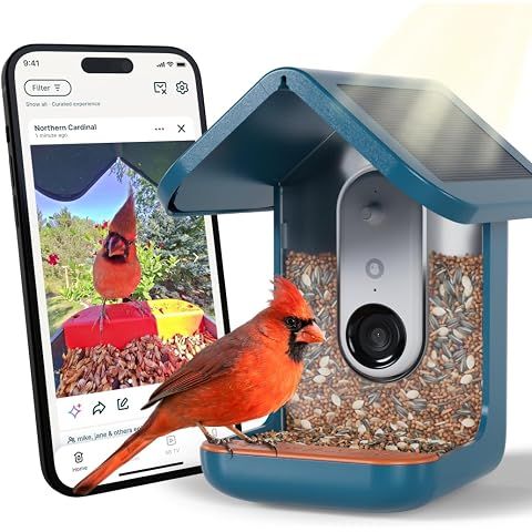 Birdbuddy Pro Solar Smart Bird Feeder with Camera, AI Bird ID, 2K Video | 2K video ...