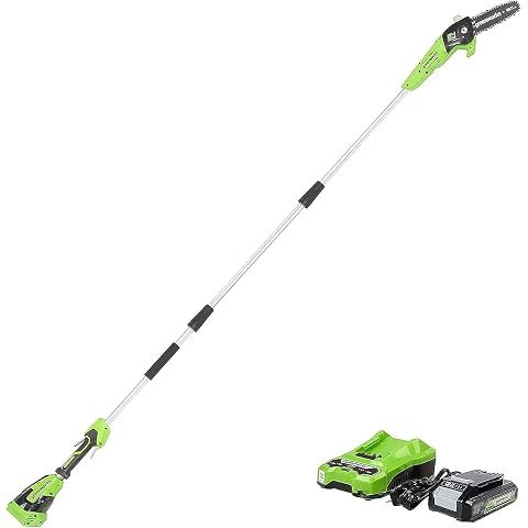 Greenworks Polesaw for $99.99!