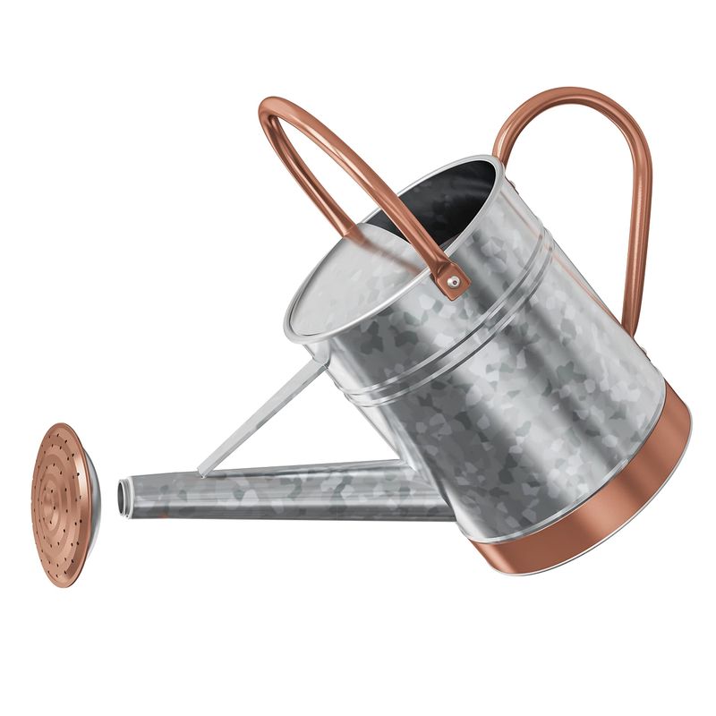 1 Gallon Metal Watering Can