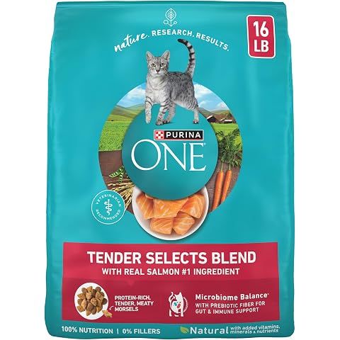 Purina ONE Tender Selects Dry Cat Food, Salmon, 16 lb Bag | Real salmon is the #1 i...
