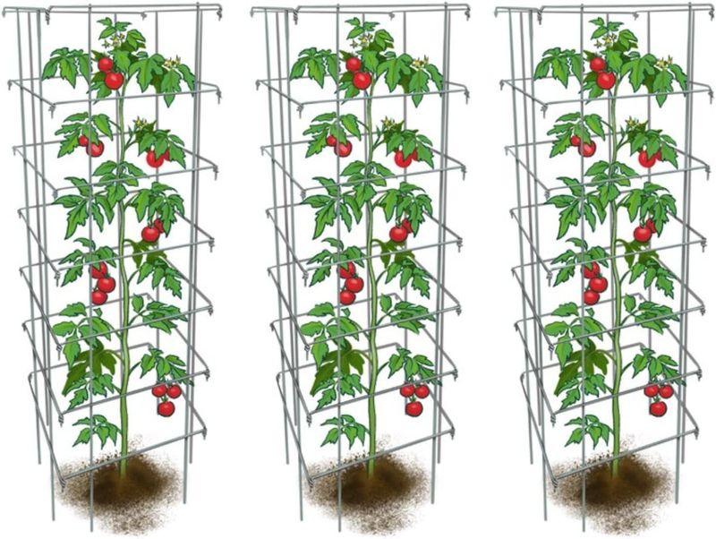 Happy Trees Tomato Cages (3-Pack) - Image 12
