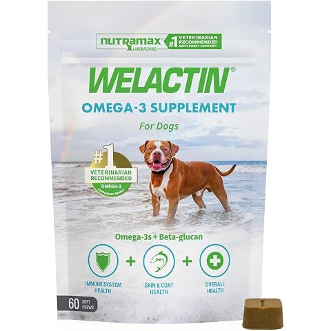 Nutramax Welactin Omega 3 Fish Oil for Dogs, Skin and Coat Health Supplement, Plus ...