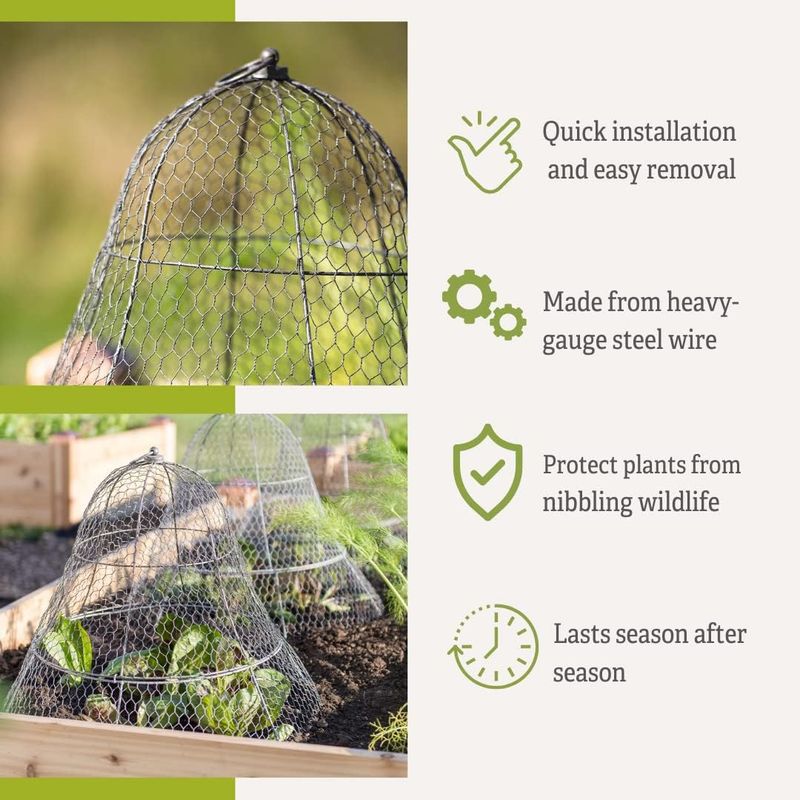 Chicken Wire Plant Protector & Cover - Image 7