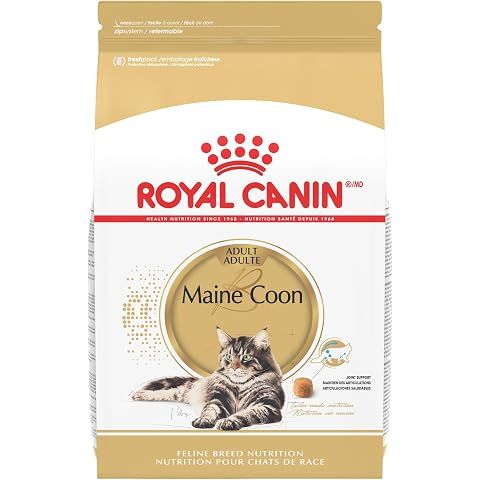 Royal Canin Maine Coon Breed Adult Dry Cat Food, 6 lb bag