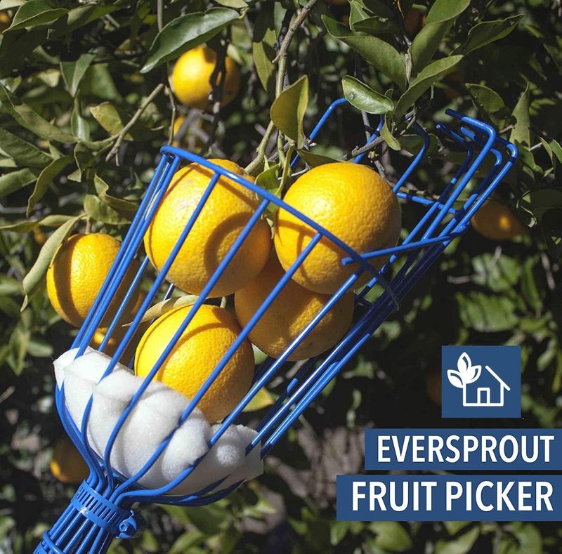 Eversprout 12-Foot Fruit Picker - Image 9