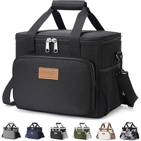 TLDR Review: Lifewit Lunch Bag