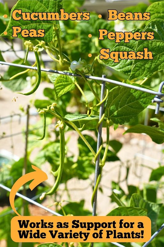 Happy Trees Tomato Cages (3-Pack) - Image 9