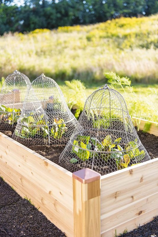 Chicken Wire Plant Protector & Cover - Image 9