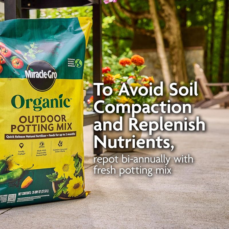 Miracle-Gro Organic Potting Mix - Image 10