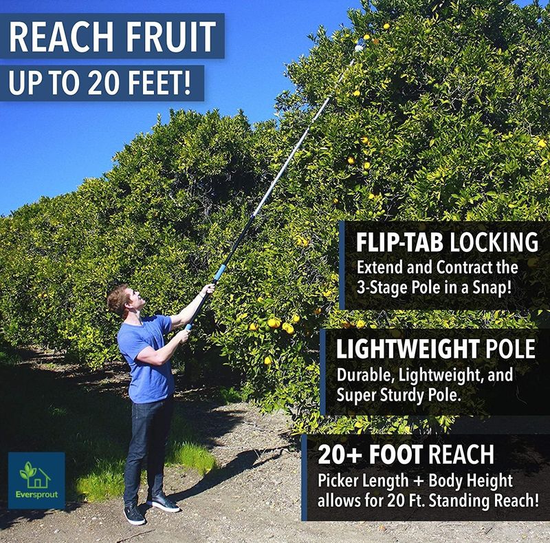 Eversprout 12-Foot Fruit Picker - Image 5