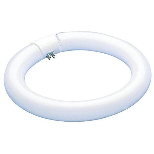 WESTINGHOUSE LIGHTING 601000 22W CW Fluo Ring Bulb
