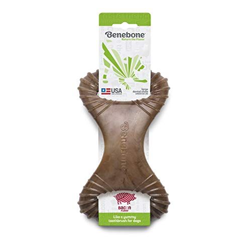 Benebone Dental Dog Chew Toy for Aggressive Chewers, Long Lasting, Made in USA, Large, Real Bacon Flavor