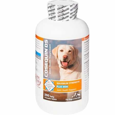 Cosequin DS Plus MSM Maximum Strength Chewable Tablets (250 Count)