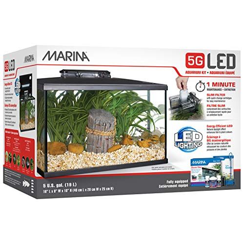 Marina 5 Gallon (19 L) LED Aquarium Kit β Ideal for Beginner Aquarists and New Fish-Keepers