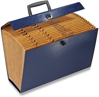 Globe Weis Globe-Weis/Pendaflex Globe Weis 19-Pocket File Express Case (11170) (Colors May Vary),Assorted Colors