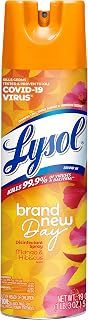 Lysol Disinfectant Spray, Sanitizing and Antibacterial Spray, For Disinfecting and Deodorizing, Mango & Hibiscus Scent, 19 Fl Oz, (Packaging May Vary)