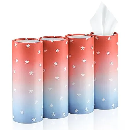 4-Pack SINGARO Car Tissue Canisters for $4.99