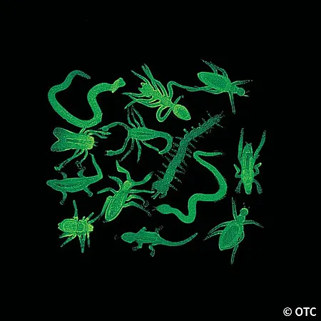 144 Mini Glow-in-the-Dark Creepy Crawly Vinyl Bugs for $9.99