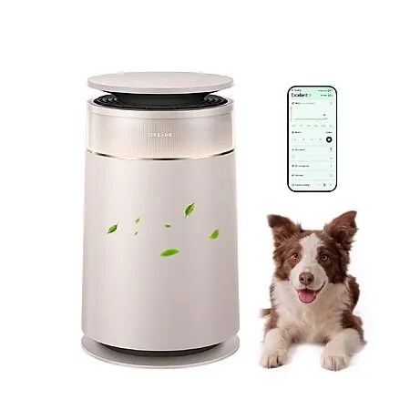 Dreame HEPA Air Purifier for $303.99