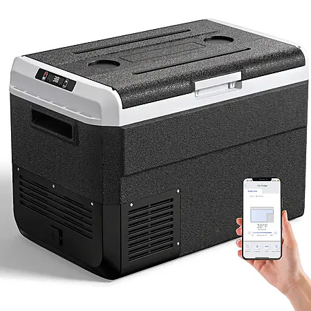 53 QT Portable Car Refrigerator for $167.99