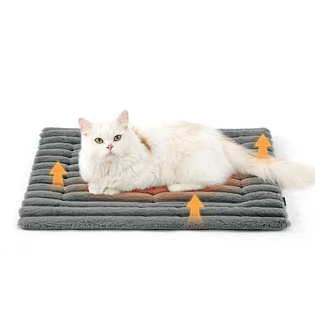 Bedsure Pet Heating Pad for $12.64