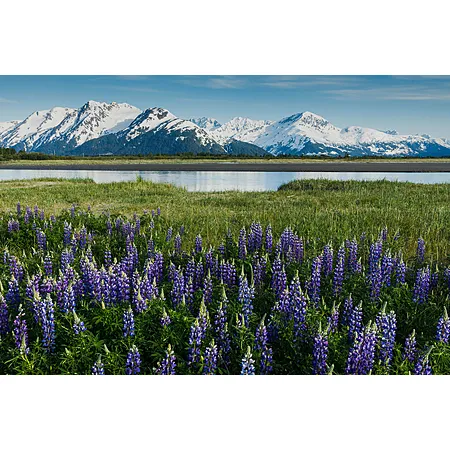 Round trip flights between Philadelphia and Anchorage for $403
