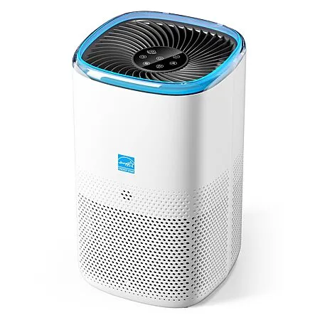 Air Purifier for $89.99 with Extra Discount