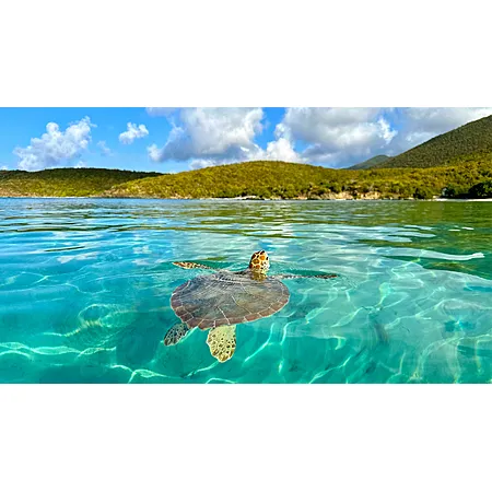 Round trip Austin TX to St Maarten for $292