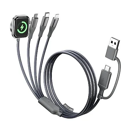4-in-2 Multi Charging Cable for $4.19