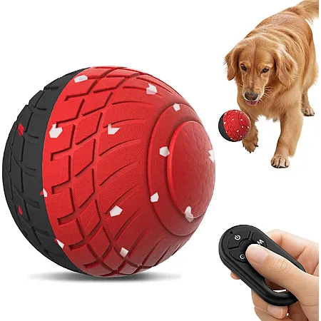50% Off Smart Dog Ball on Amazon!