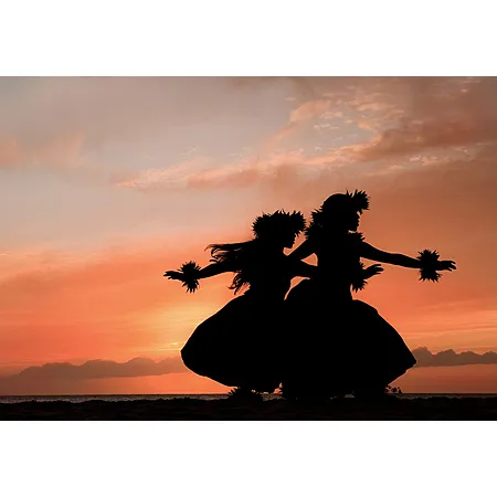 Round trip flights to Hawaii for $291!