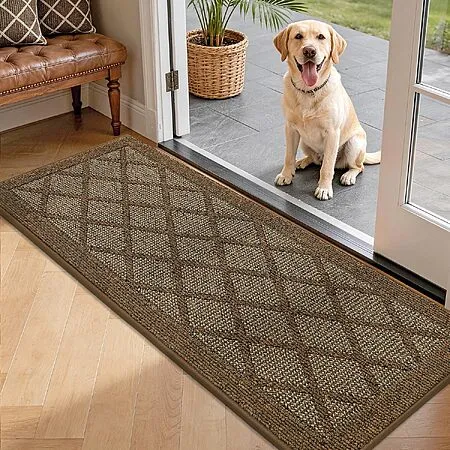 [Prime] 20" x 48" COSY HOMEER Door Mat for $14.24