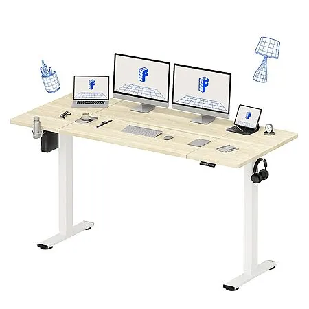 FLEXISPOT Electric Standing Desk for $220.99