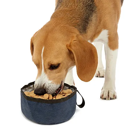 TrustyPup Collapsible Pet Bowl for $1.76!