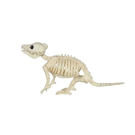 Halloween Skeletons as low as $2.99!